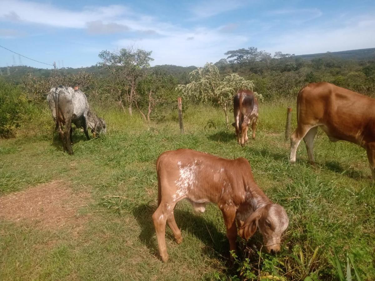 Chalé aconchegante, pertinho da cidade e conectada a natureza Brasilia Exterior foto